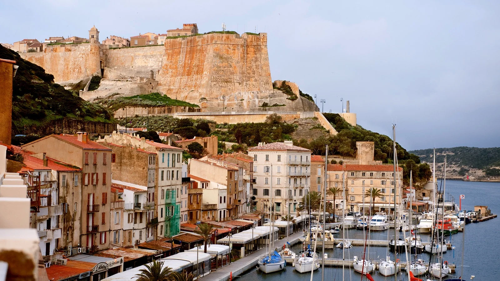 Des touristes consultent leur plan sur smartphone, attablés à la terrasse d’un café corse.