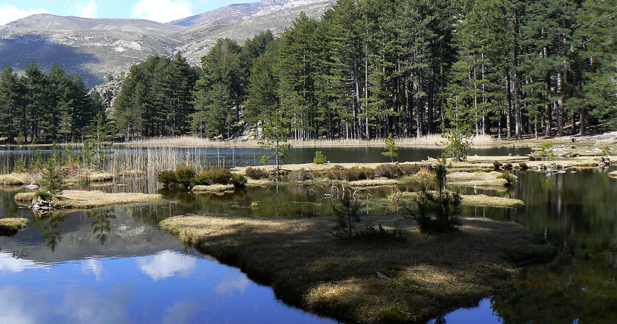 Rivage paisible du Lac de Creno avec un coin pique-nique
