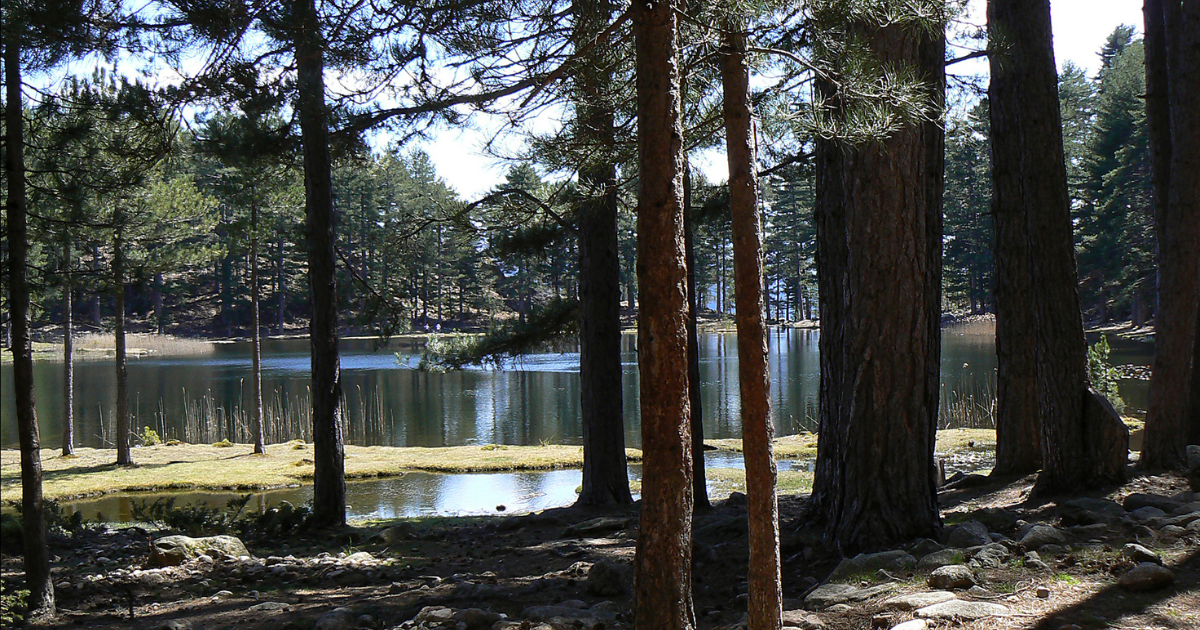 Aire de repos ombragée le long du sentier du Lac de Creno