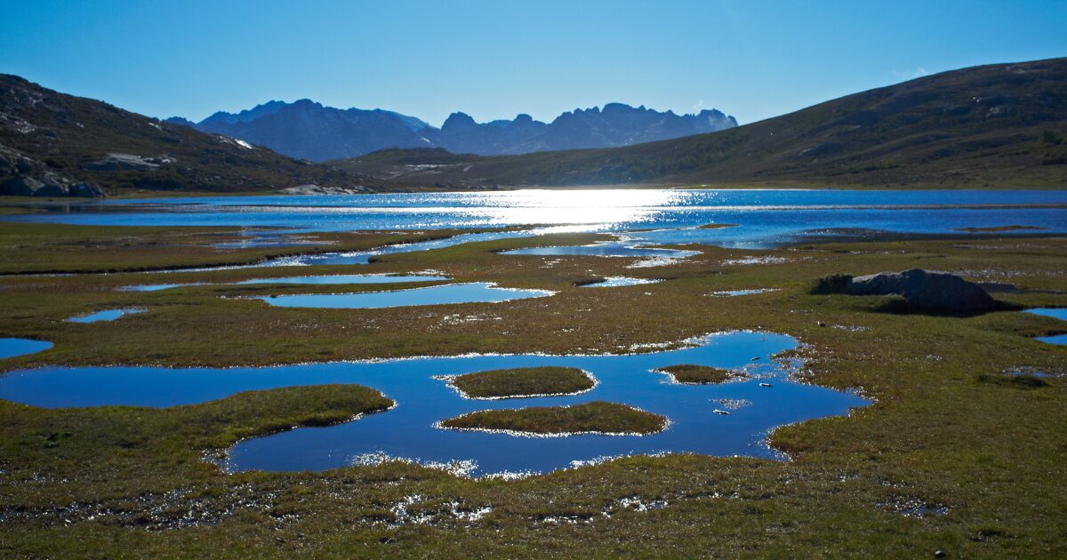 Lac de Nino et ses pozzines vertes à 1 743 m d'altitude dans le Niolu, en Corse